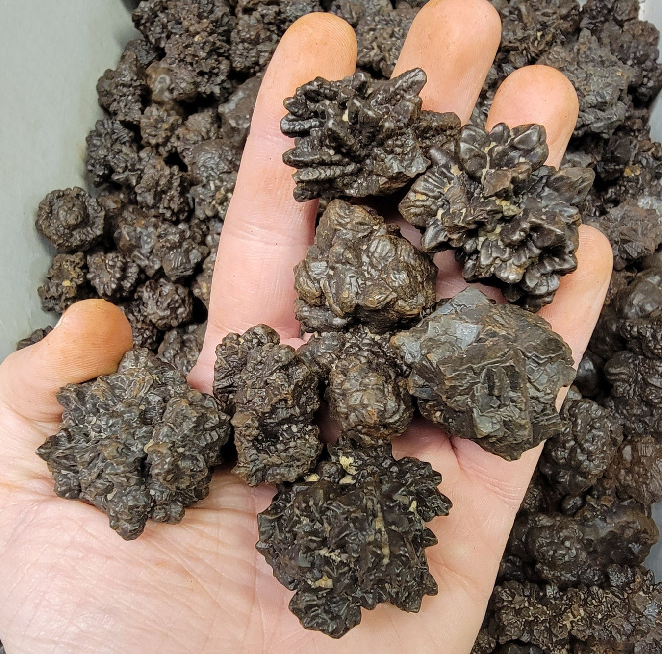 Mineral Specimens - InnerVision Crystals