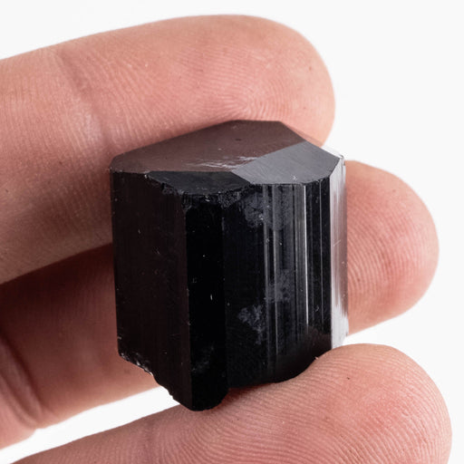 Black Tourmaline 20 g 21x21mm - InnerVision Crystals