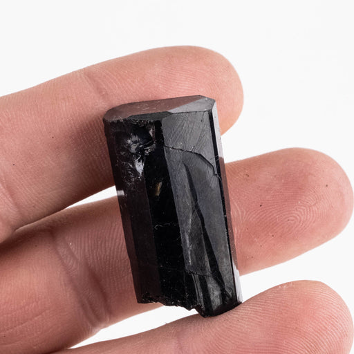 Black Tourmaline 20 g 34x17mm - InnerVision Crystals