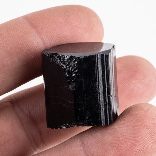 Black Tourmaline 25 g 24x23mm - InnerVision Crystals