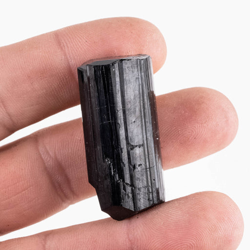 Black Tourmaline 25 g 39x18mm - InnerVision Crystals