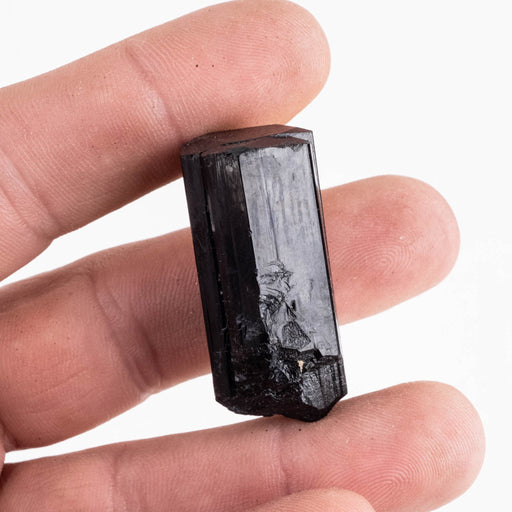 Black Tourmaline 25 g 39x18mm - InnerVision Crystals