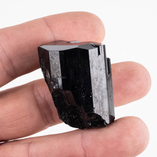 Black Tourmaline 38 g 35x28mm - InnerVision Crystals