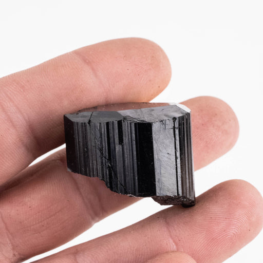 Black Tourmaline 40 g 26x31mm - InnerVision Crystals