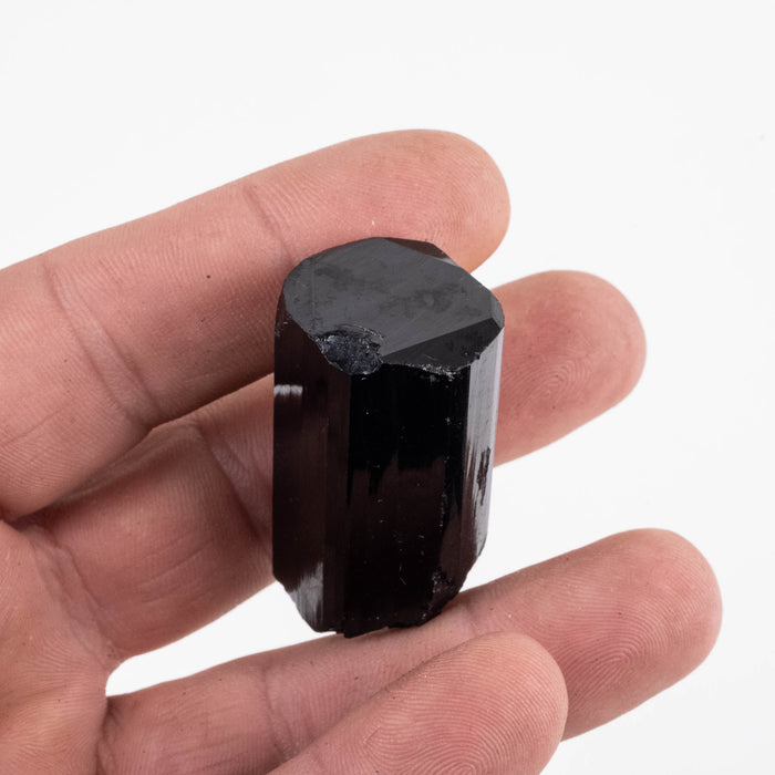 Black Tourmaline 40 g 39x22mm - InnerVision Crystals