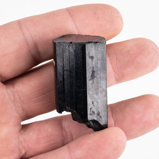 Black Tourmaline 43 g 41x24mm - InnerVision Crystals