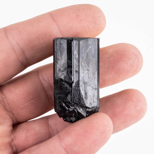 Black Tourmaline 43 g 41x24mm - InnerVision Crystals