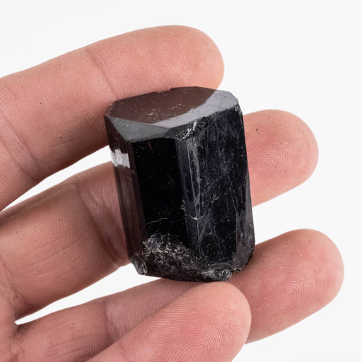 Black Tourmaline 46 g 37x25mm - InnerVision Crystals