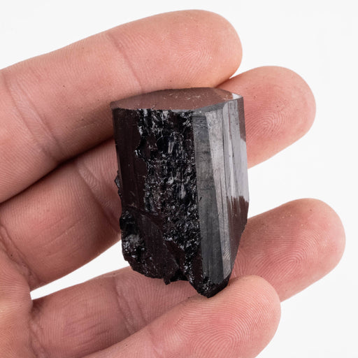 Black Tourmaline 46 g 37x25mm - InnerVision Crystals