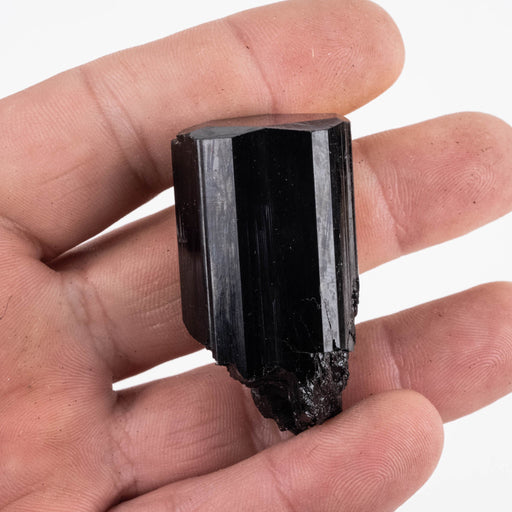 Black Tourmaline 48 g 46x25mm - InnerVision Crystals