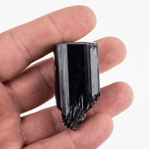 Black Tourmaline 48 g 46x25mm - InnerVision Crystals