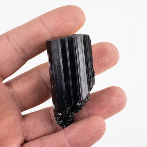 Black Tourmaline 59 g 57x26mm - InnerVision Crystals