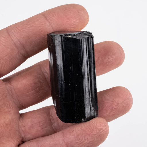 Black Tourmaline 63 g 50x27mm - InnerVision Crystals