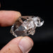 Herkimer Diamond Quartz Crystal 16.31 g 34x26x21mm - InnerVision Crystals