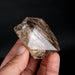 Herkimer Diamond Quartz Crystal 182 g 66x65x43mm - InnerVision Crystals