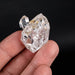 Herkimer Diamond Quartz Crystal 21.43 g 37x24x20mm - InnerVision Crystals