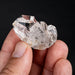 Herkimer Diamond Quartz Crystal 26.87 g 40x26x24mm - InnerVision Crystals