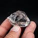 Herkimer Diamond Quartz Crystal 42.37 g 46x32x25mm - InnerVision Crystals