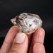 Herkimer Diamond Quartz Crystal 50.12 g 45x38x24mm - InnerVision Crystals