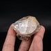 Herkimer Diamond Quartz Crystal 80.53 g 54x53x33mm - InnerVision Crystals