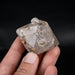 Herkimer Diamond Quartz Crystal 86.29 g 56x45x35mm - InnerVision Crystals