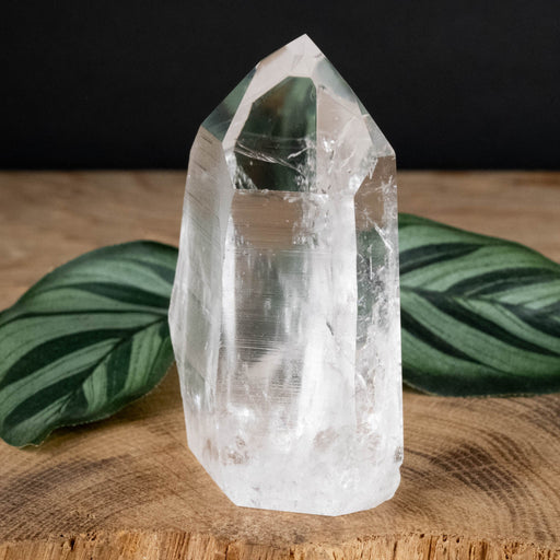 Lemurian Crystal Polished Point 144 g 46x25mm - InnerVision Crystals