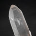 Lemurian Seed Crystal 1606 g 10.5x3in DT - InnerVision Crystals