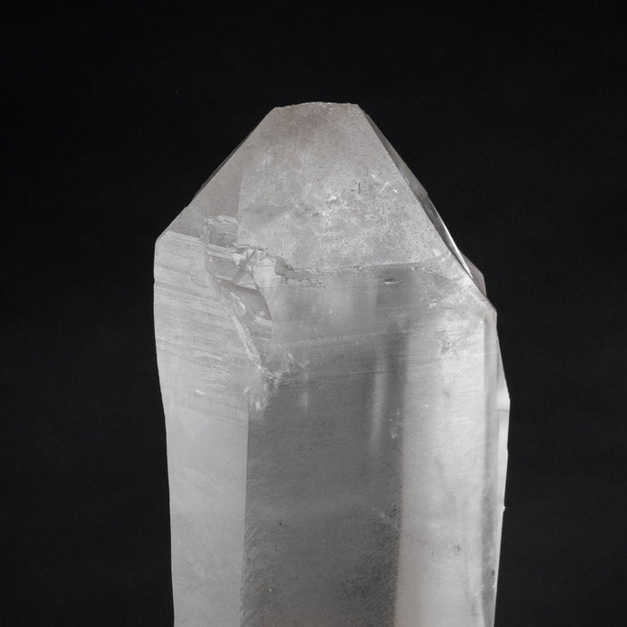 Lemurian Seed Crystal 1606 g 10.5x3in DT - InnerVision Crystals