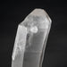 Lemurian Seed Crystal 1606 g 10.5x3in DT - InnerVision Crystals