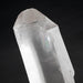 Lemurian Seed Crystal 1606 g 10.5x3in DT - InnerVision Crystals