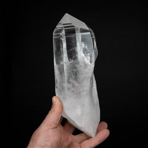 Lemurian Seed Crystal 1619 g 9"x3.25" - InnerVision Crystals