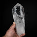 Lemurian Seed Crystal 1619 g 9"x3.25" - InnerVision Crystals