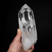 Lemurian Seed Crystal 1619 g 9"x3.25" - InnerVision Crystals