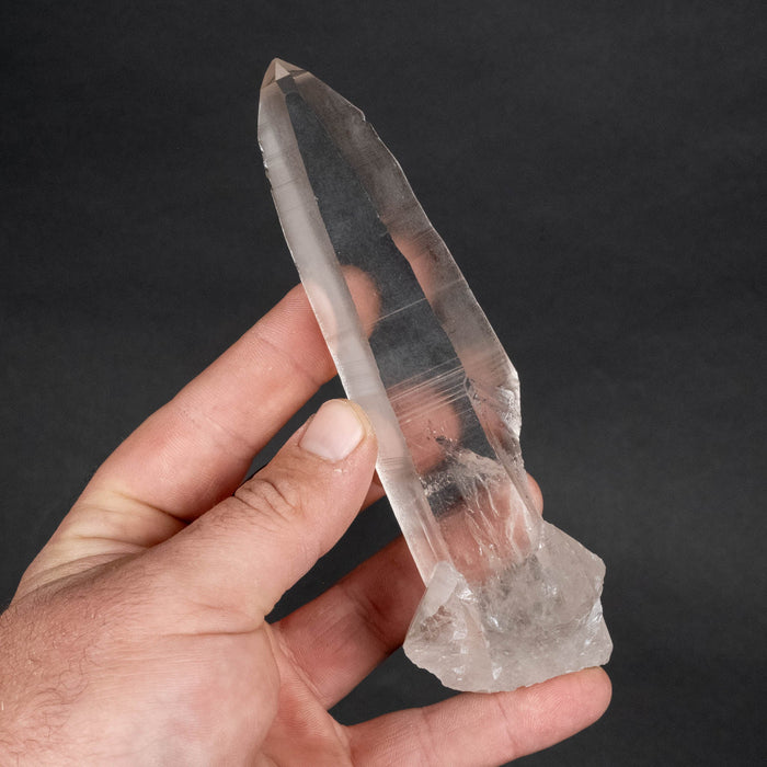 Lemurian Seed Crystal 175 g 145x34mm - InnerVision Crystals