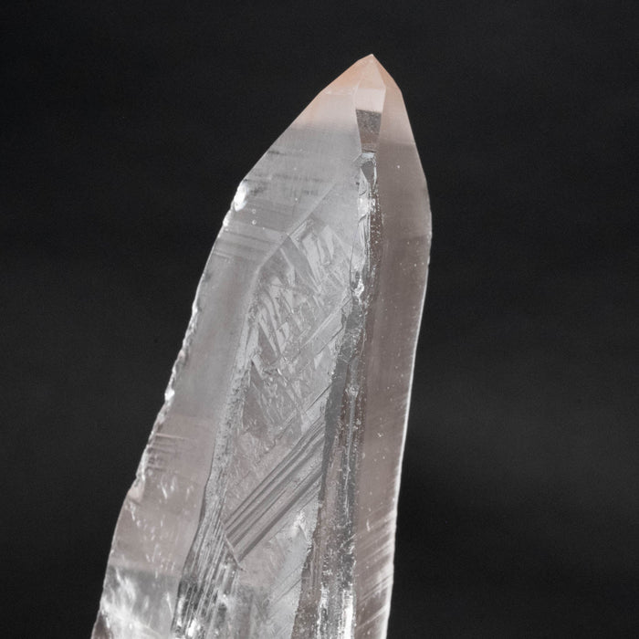 Lemurian Seed Crystal 188 g 142x40mm DT - InnerVision Crystals