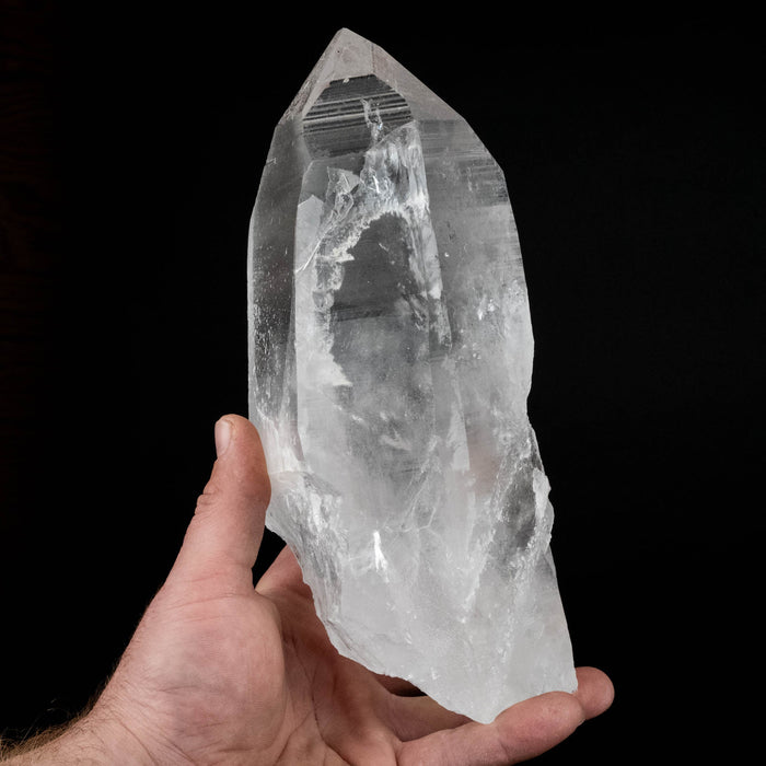 Lemurian Seed Crystal 2668 g 8.75"x4.5" - InnerVision Crystals