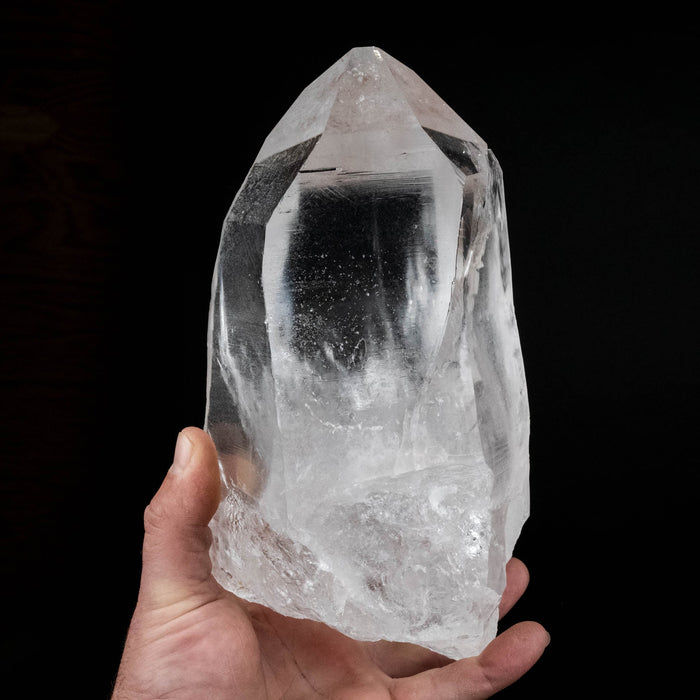 Lemurian Seed Crystal 2668 g 8.75"x4.5" - InnerVision Crystals