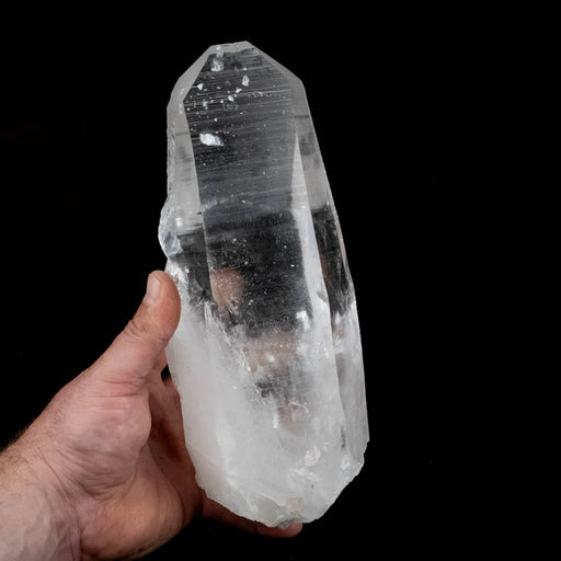 Lemurian Seed Crystal 2834 g 10.5x6 in. - InnerVision Crystals