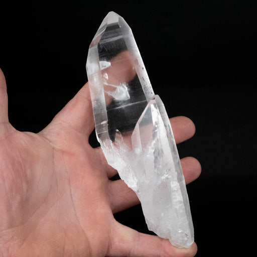 Lemurian Seed Crystal 309 g 162x48mm - InnerVision Crystals