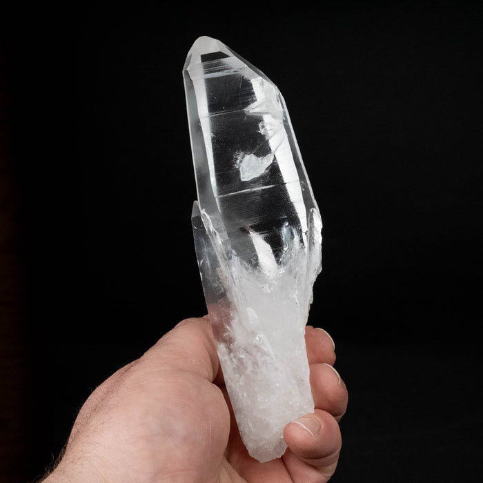 Lemurian Seed Crystal 309 g 162x48mm - InnerVision Crystals