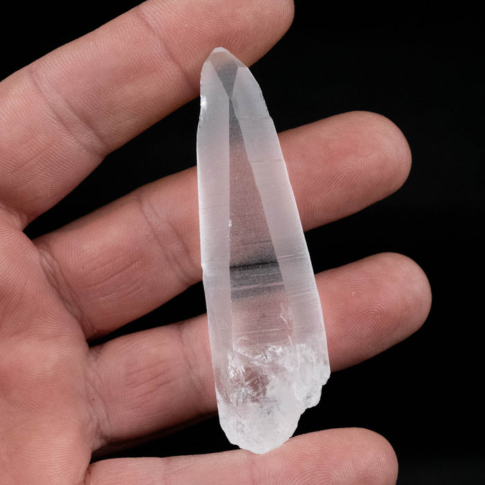 Lemurian Seed Crystal 31 g 72x21mm - InnerVision Crystals