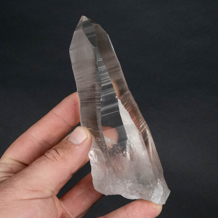 Lemurian Seed Crystal 316 g 141x50mm - InnerVision Crystals