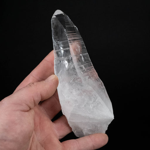 Lemurian Seed Crystal 320 g 146x52mm - InnerVision Crystals