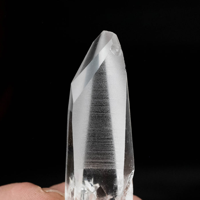 Lemurian Seed Crystal 34 g 70x21mm - InnerVision Crystals