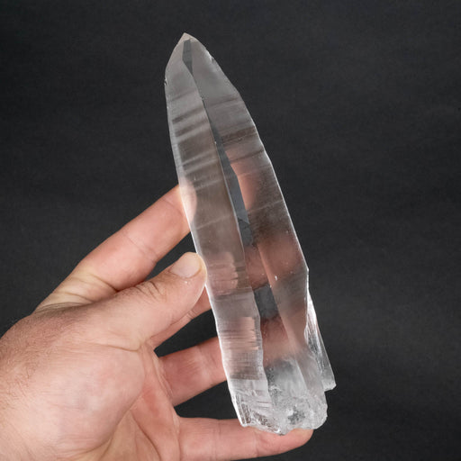 Lemurian Seed Crystal 376 g 171x47mm - InnerVision Crystals