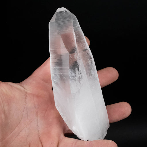 Lemurian Seed Crystal 384 g 139x52mm DT - InnerVision Crystals