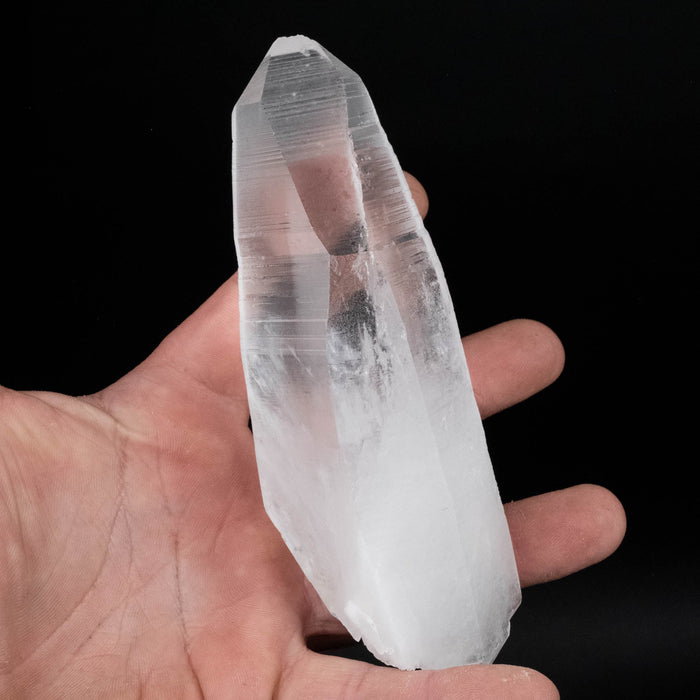 Lemurian Seed Crystal 384 g 139x52mm DT - InnerVision Crystals