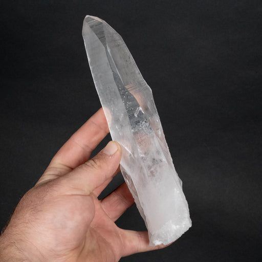 Lemurian Seed Crystal 486 g 196x58mm - InnerVision Crystals