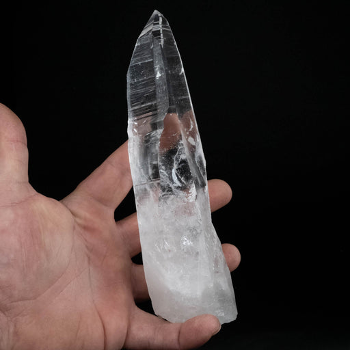 Lemurian Seed Crystal 487 g 175x42mm - InnerVision Crystals