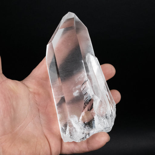 Lemurian Seed Crystal 530 g 141x66mm - InnerVision Crystals